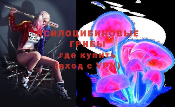 амф Алексин