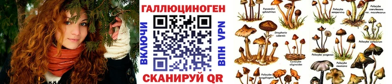 Псилоцибиновые грибы Magic Shrooms  МЕГА   это клад  Елизово 