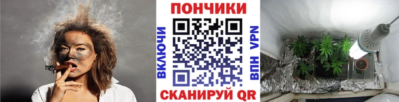 закладка  Елизово  Бошки марихуана VHQ 